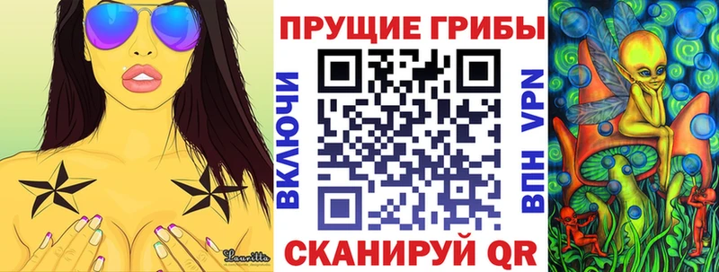 где можно купить   блэк спрут зеркало  Галлюциногенные грибы GOLDEN TEACHER  Брюховецкая 