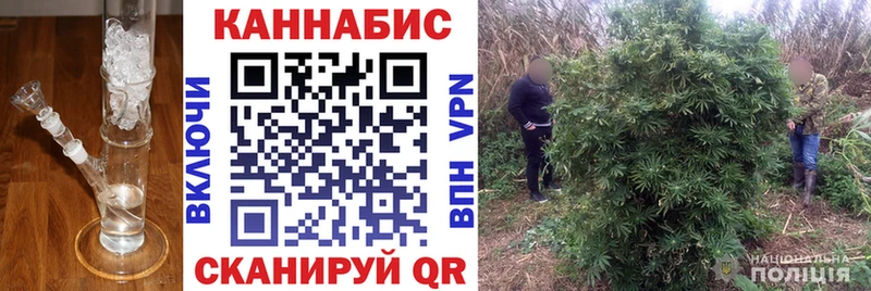 Канабис Ganja Брюховецкая